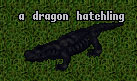 Evolution Dragon Lava Lizard