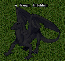 Evolution Dragon Dragon